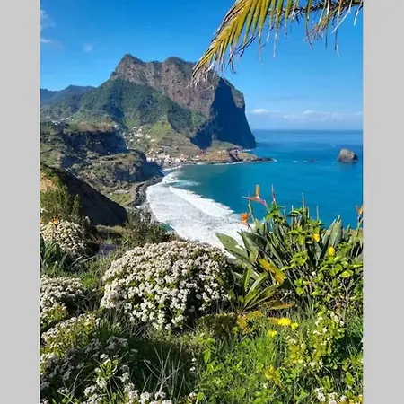 アパート Center Ii フンシャル