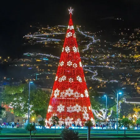 Center Ii アパート フンシャル