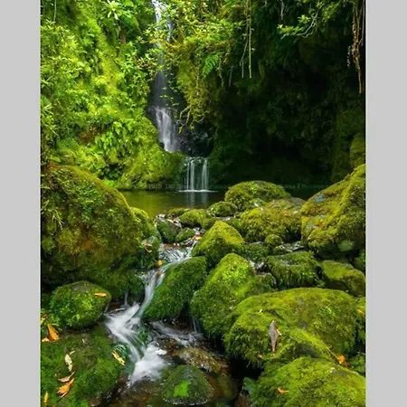 Center Ii Apartment *