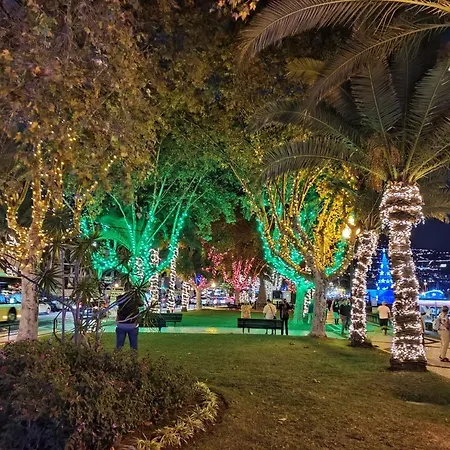 Center Ii Фуншал