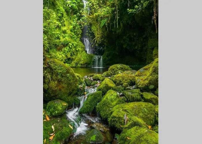 Center Ii Appartement *