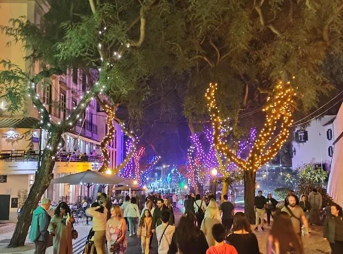 Center Ii * 丰沙尔