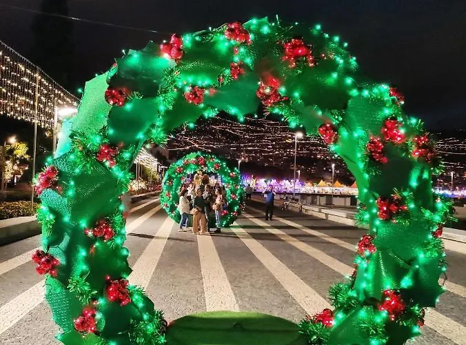 Appartement Center Ii *